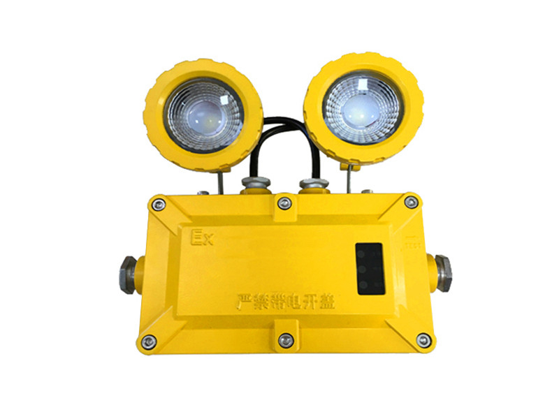 ZFZD-E 8121防爆應急雙頭燈
