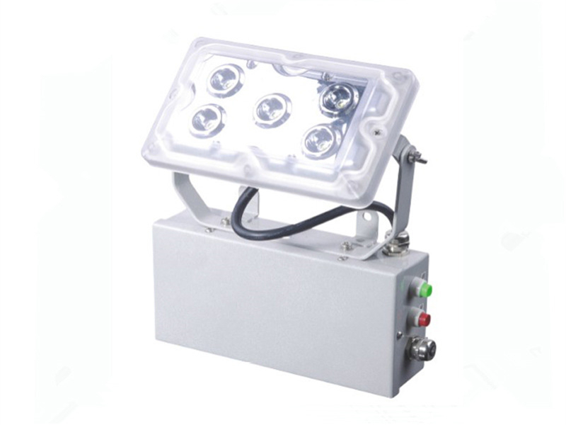 NFE9178應(yīng)急頂燈